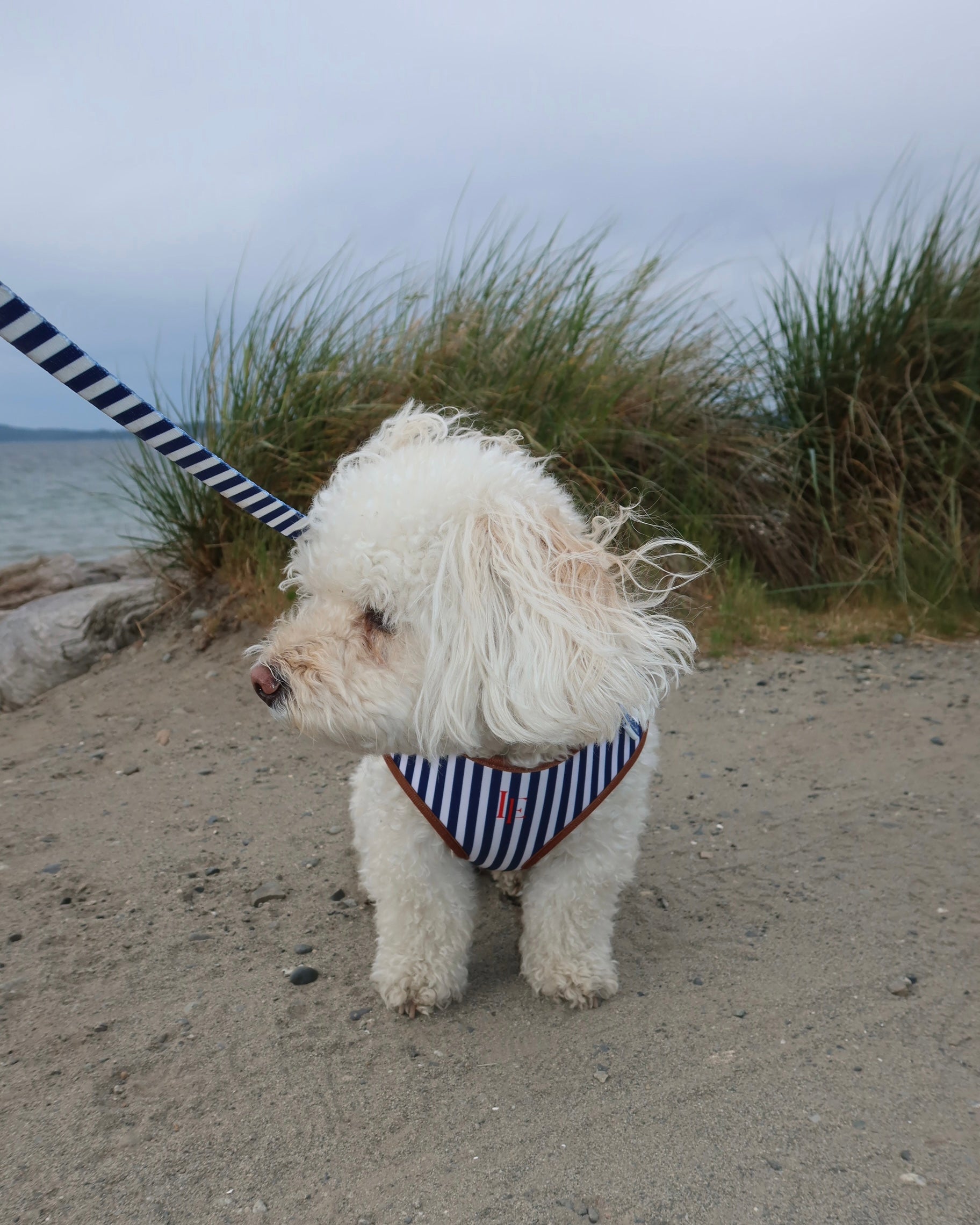 Signature Dog Harness